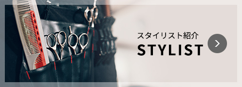 STYLIST